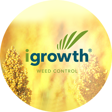 igrowth-weed-control